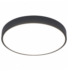 Потолочный светодиодный светильник Arte Lamp Arena A2661PL-1BK