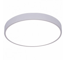 Потолочный светодиодный светильник Arte Lamp Arena A2661PL-1WH