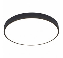 Потолочный светодиодный светильник Arte Lamp Arena A2672PL-1BK