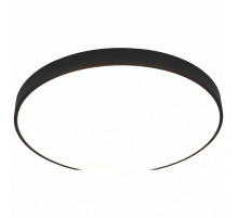 Потолочный светодиодный светильник Arte Lamp Arena A2673PL-1BK