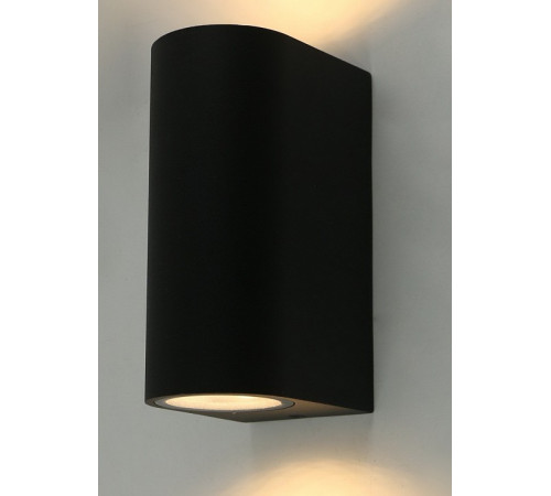 Уличный настенный светильник Arte Lamp A3102AL-2BK Уличный настенный светильник Arte Lamp A3102AL-2BK