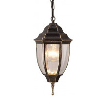 Уличный подвесной светильник Arte Lamp Pegasus A3151SO-1BN