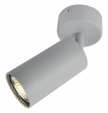 Спот Arte Lamp A3216PL-1GY