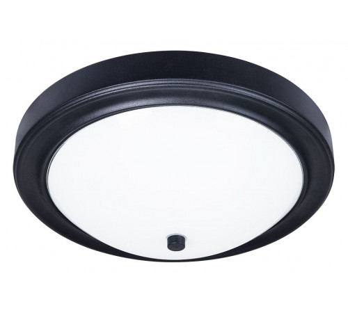 Потолочный светильник Arte Lamp James A4049PL-3BK