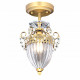 Потолочный светильник Arte Lamp Schelenberg A4410PL-1SR