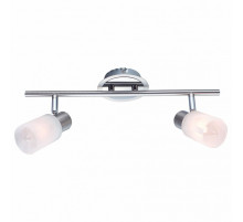 Спот Arte Lamp A4510PL-2SS