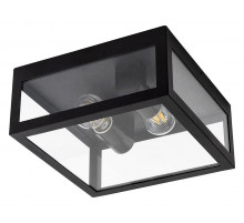 Уличный потолочный светильник Arte Lamp Belfast A4569PF-2BK