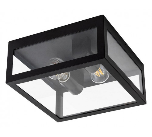 Уличный потолочный светильник Arte Lamp Belfast A4569PF-2BK