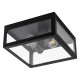 Уличный потолочный светильник Arte Lamp Belfast A4569PF-2BK