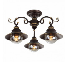 Потолочная люстра Arte Lamp 7 A4577PL-3CK