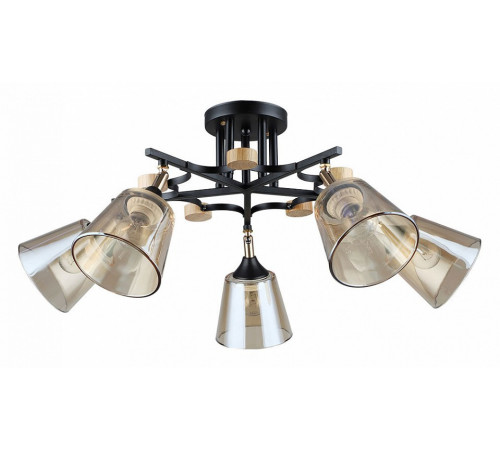 Потолочная люстра Arte Lamp Glassy A5078PL-5BK Потолочная люстра Arte Lamp Glassy A5078PL-5BK