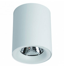 Потолочный светодиодный светильник Arte Lamp Facile A5112PL-1WH