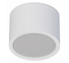 Накладной светильники Arte Lamp Intercrus A5543PL-1WH