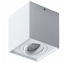 Потолочный светильник Arte Lamp Factor A5544PL-1WH
