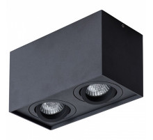 Потолочный светильник Arte Lamp Factor A5544PL-2BK