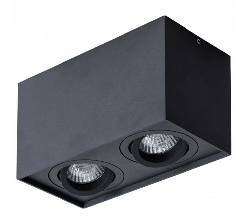 Потолочный светильник Arte Lamp Factor A5544PL-2BK