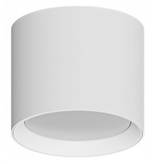 Накладной светильники Arte Lamp Intercrus A5548PL-1WH