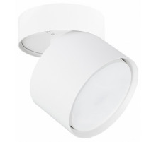 Накладной спот Arte Lamp Intercrus A5549PL-1WH