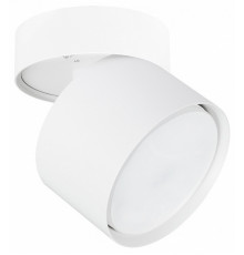 Накладной спот Arte Lamp Intercrus A5549PL-1WH
