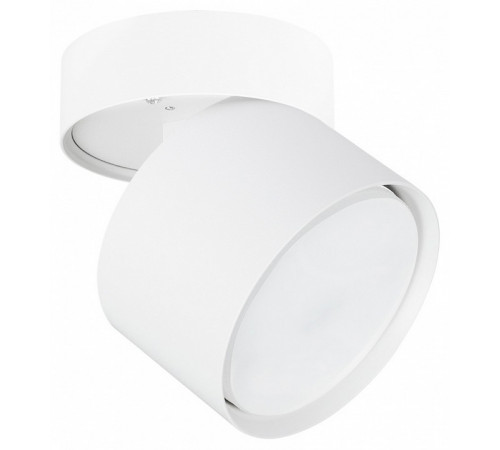 Накладной спот Arte Lamp Intercrus A5549PL-1WH