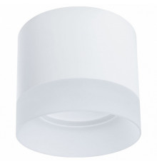 Потолочный светильник Arte Lamp Castor A5554PL-1WH