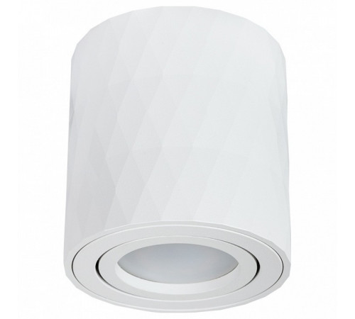Накладной светильник Arte Lamp Fang A5559PL-1WH Накладной светильник Arte Lamp Fang A5559PL-1WH