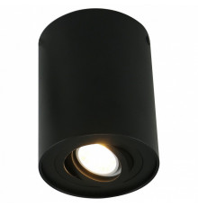 Потолочный светильник Arte Lamp A5644PL-1BK