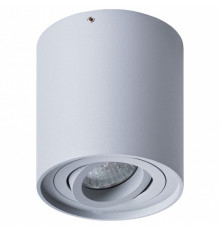 Потолочный светильник Arte Lamp Falcon A5645PL-1GY