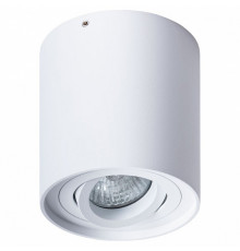 Потолочный светильник Arte Lamp Falcon A5645PL-1WH