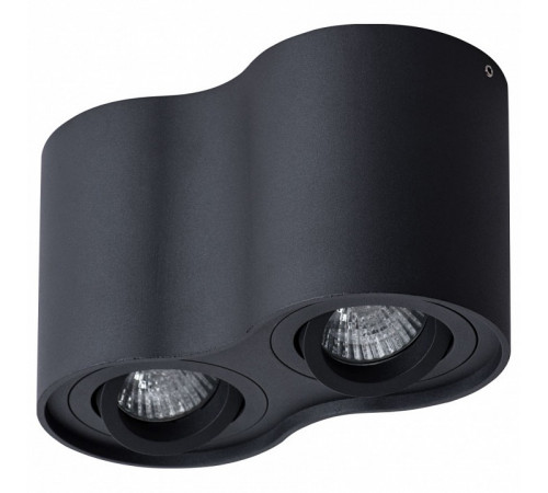 Потолочный светильник Arte Lamp Falcon A5645PL-2BK