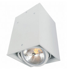 Потолочный светильник Arte Lamp Cardani A5936PL-1WH