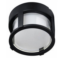 Уличный потолочный светильник Arte Lamp Ulysses A6206PF-1BK