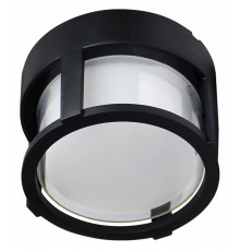 Уличный потолочный светильник Arte Lamp Ulysses A6206PF-1BK