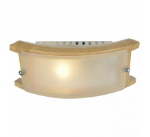 Потолочный светильник Arte Lamp A6460AP-1BR