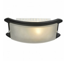 Потолочный светильник Arte Lamp A6462AP-1CK