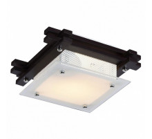 Потолочный светильник Arte Lamp 94 A6462PL-1CK