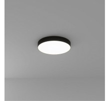 Потолочный светильник Arte Lamp Fado A6650PL-1BK