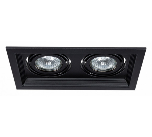 Встраиваемый светильник Arte Lamp Canis A6661PL-2BK Встраиваемый светильник Arte Lamp Canis A6661PL-2BK