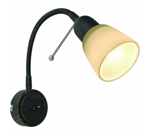 Спот Arte Lamp Lettura A7009AP-1BR