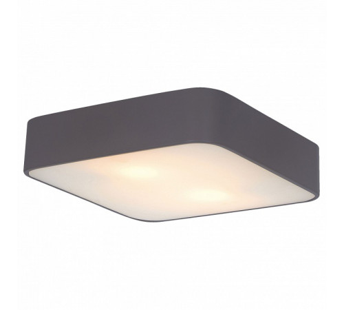 Потолочный светильник Arte Lamp Cosmopolitan A7210PL-2BK