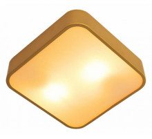 Потолочный светильник Arte Lamp Cosmopolitan A7210PL-2GO