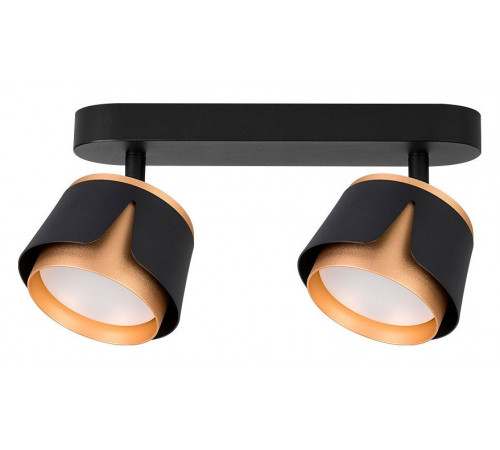 Спот Arte Lamp Amaks A8028PL-2BK Спот Arte Lamp Amaks A8028PL-2BK