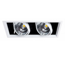 Встраиваемый светильник Arte Lamp Merga A8450PL-2WH