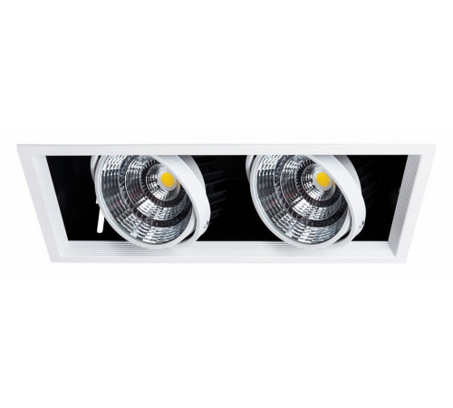 Встраиваемый светильник Arte Lamp Merga A8450PL-2WH