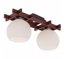 Потолочный светильник Citilux Нарита CL114121