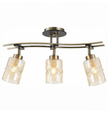 Спот Citilux CL142134