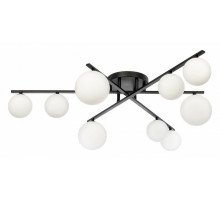 Потолочная люстра Citilux Glob CL209291