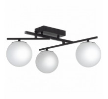 Настенно-потолочный светильник Citilux Dorsy CL223132