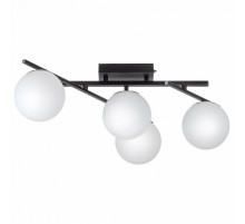 Настенно-потолочный светильник Citilux Dorsy CL223142
