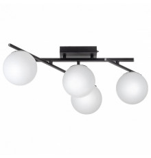 Настенно-потолочный светильник Citilux Dorsy CL223142